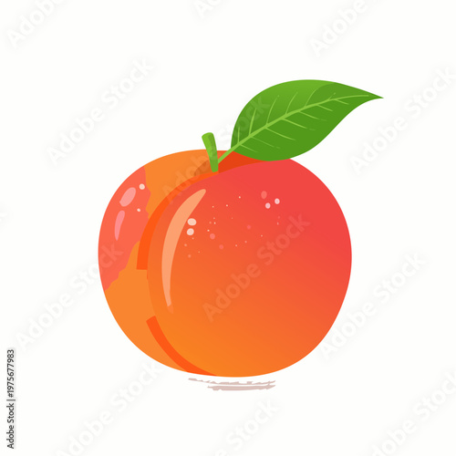 Single orange peach with fuzzy skin is isolated on a plain white background for summer fruit recipes.