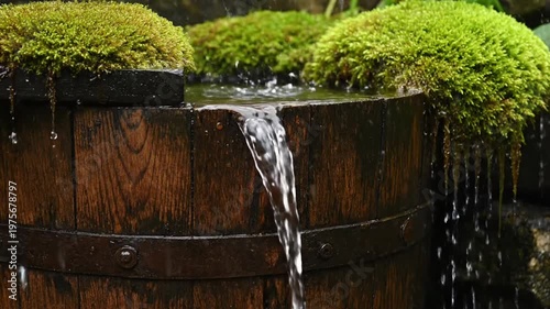 Tranquil Japanese Garden Zen Water Feature: Mossy Barrel Fountain