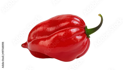 Fotografie Shiny red habanero pepper with green stem, isolated on transparent background