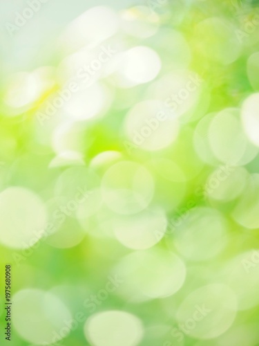 森の中の木漏れ日。光の風景。爽やかな自然のグリーンイメージ。不規則な丸い玉ボケ。