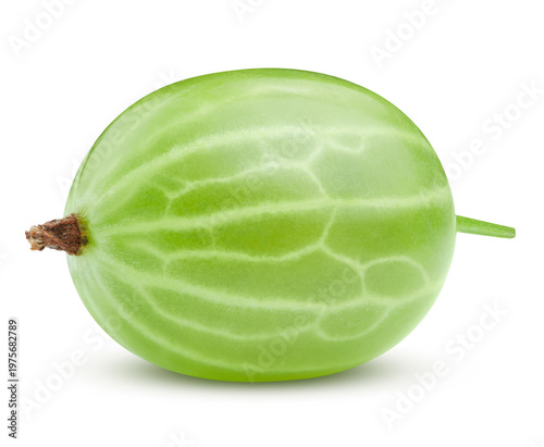 Gooseberry isolated on white background