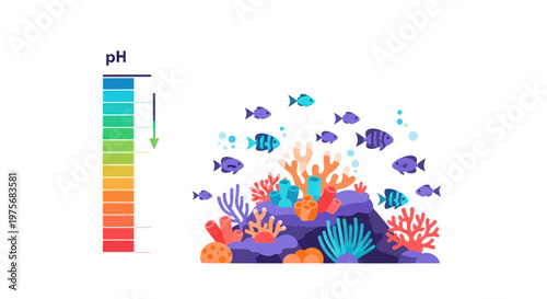 Coral Reef, Fish, pH Level Indicator, Colorful Marine Life, Aquatic Ecosystem, Vector Illustration