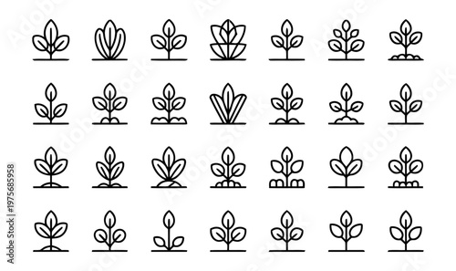Collection of vectors showcasing various types of plants and seedlings.