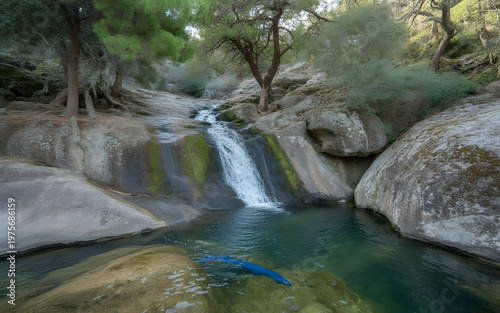 Chantara Waterfalls in the Troodos mountains, A blue fish in the water. Cyprus. waterfall in the park.