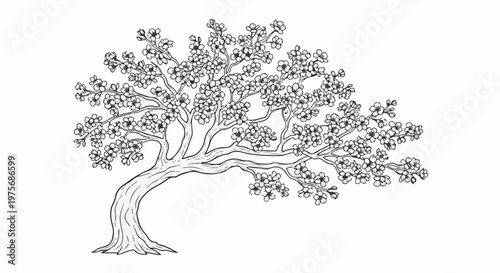 Delicate illustration of a blooming cherry blossom tree