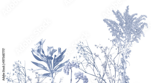 Wildflowers Border Cyanotype