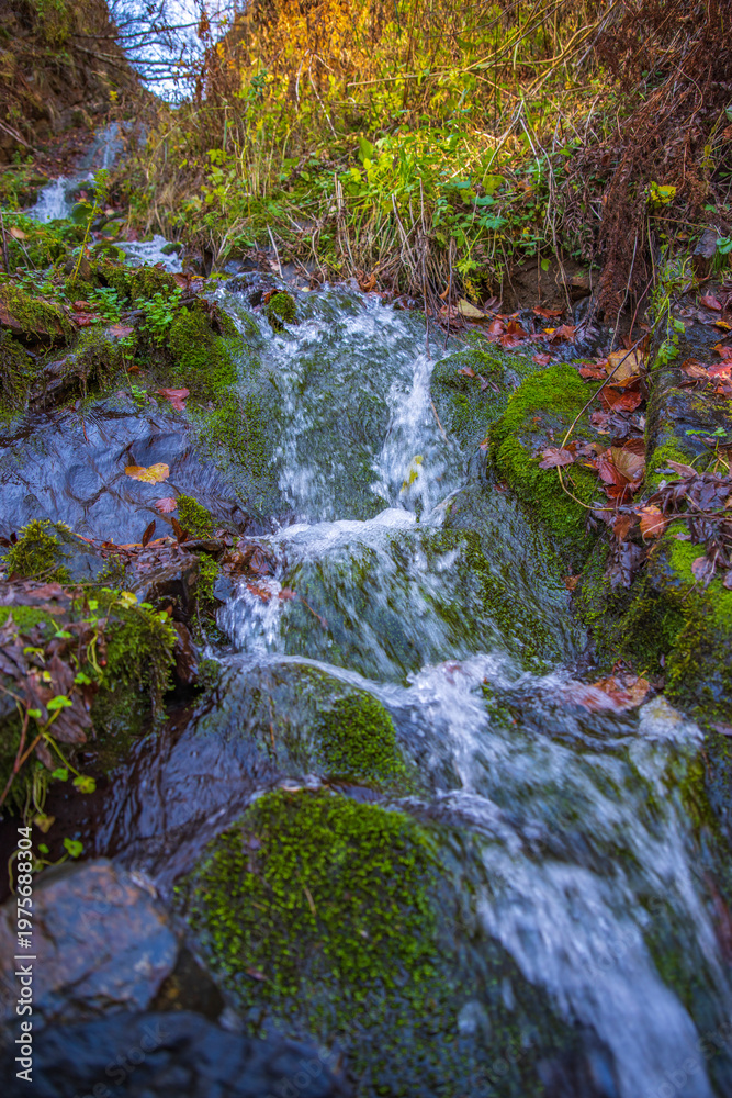 Fototapeta premium Silky Forest Waterfall with Mossy Stones and Autumn Leaves in Nature with copy space