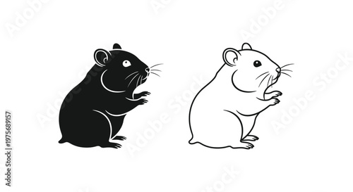 Black and White Rodents Comparison Guide Vector