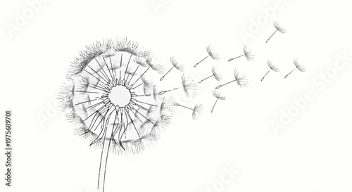 Delicate dandelion dispersing seeds in a gentle breeze, artistic sketch
