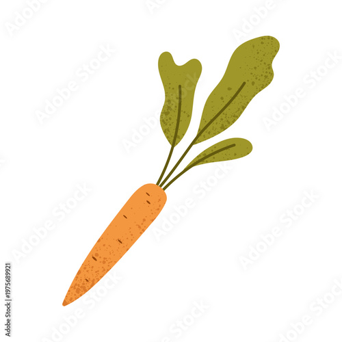Carrot with tops