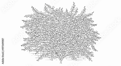 Detailed line art of a lush, leafy shrub with brick wall background