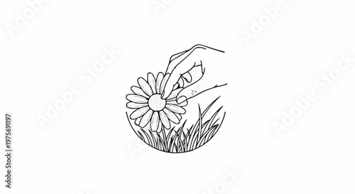 Delicate hand plucking a single daisy from lush green grass