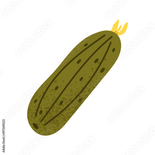 Fresh whole cucumber