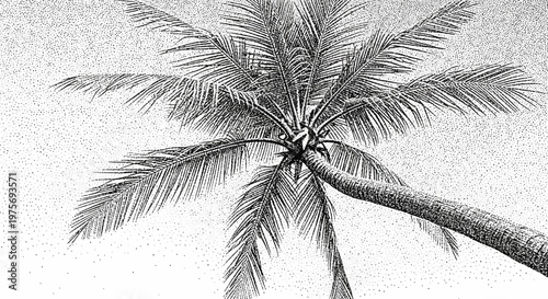 Stippled Palm Tree Silhouette Against Bright Sky, Tropical Beach Vibe