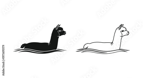 Llama vs Alpaca Swimming Comparison Guide Vector