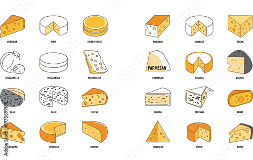 Cheese Types Illustration Set Featuring Various Dairy Products Including Cheddar Brie Mozzarella Parmesan and Gouda for Food Menu and Culinary Design