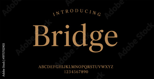 Vászonkép Introducing the elegant Bridge font on a sleek black background with gold text