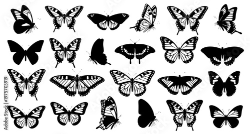 Butterfly Silhouette Vector Illustration Set