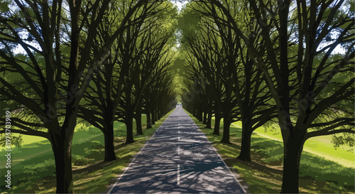 Obraz na plátně Long Straight Road Lined with Green Trees Vector Illustration