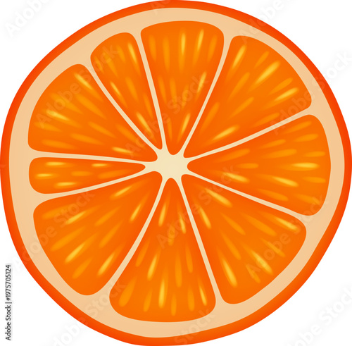 Orange Slice