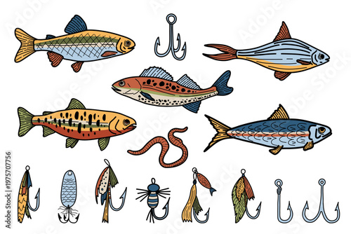 Colored doodle fishing hooks, lure, baits and fishes. Vintage trout, salmon, anchovy clipart. Vector retro illustrations of fishing equipment