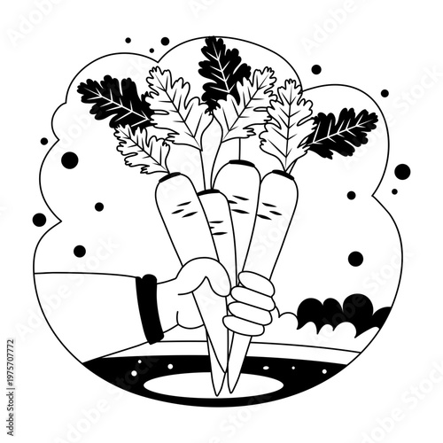 A glyph style illustration showing carrots