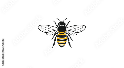 Detailed illustration of a honeybee with its characteristic black and yellow stripes and transparent wings on a white background.
