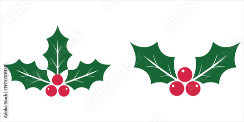 Two Christmas holly sprigs with green leaves and red berries on a white background mistletoe plant