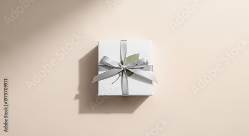 Title air plant in a white box a minimalist botanical display description a single air plant is presented inside a white rectangular
