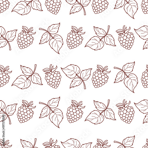 Seamless Pattern with Outline Blackberries Berries and Leaves on White Background. Minimalist Botanical Retro Blackberry and Raspberry Fruit Print. Vector Illustration. Line drawing, coloring page.