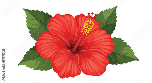 A vibrant red hibiscus flower with detailed petals and yellow stamen