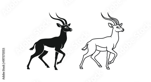 Antelope Species Comparison Guide Horned Animals Vector