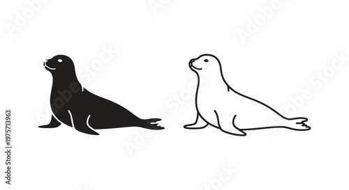 Sea Lion vs Seal Marine Mammals Comparison Guide Vector