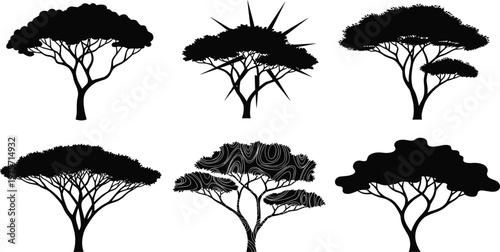 Acacia tree silhouettes, African savanna icons, flat top canopy design, black botanical art, desert landscape trees, wildlife habitat symbol, nature illustration