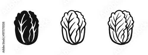 Chinese Cabbage (Napa) Icon Set in Glyph, Outline, and Hand-Drawn Styles - Asian Vegetable Symbol