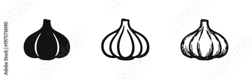 Garlic bulb icons set: solid silhouette, thin line, and hand-drawn sketch styles. Cooking ingredient vector art.