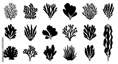 Black seaweed silhouettes set, 18 underwater coral and algae vector icons, marine plant life collection for aquatic design and ocean branding