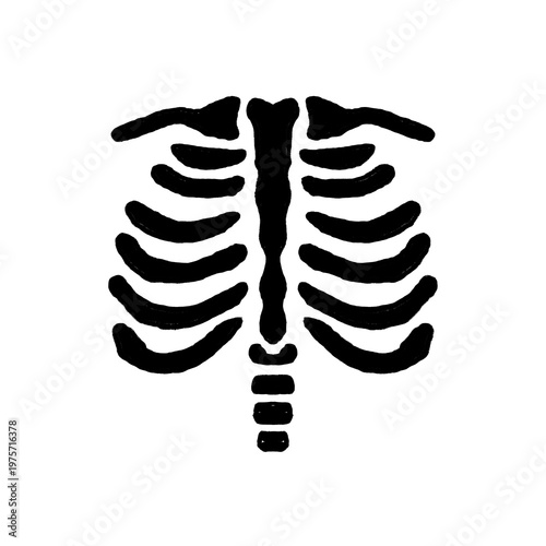 Hand Drawn Rib Cage Skeleton Abstract Illustration