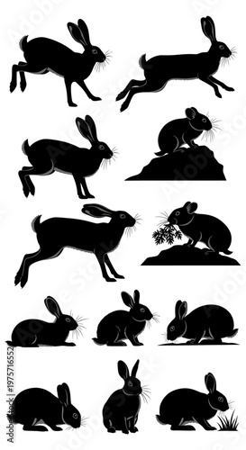 Black rabbit silhouette collection, 12 wild hare vector icons in various poses, jumping and sitting bunny shapes for nature design and hunting logos