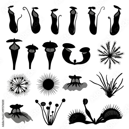Carnivorous plant silhouette set, black exotic predator flora icons, venus flytrap and pitcher plant vector collection for botanical design