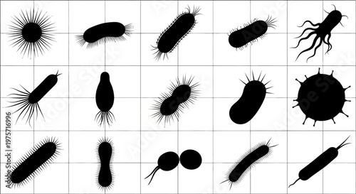 Microscopic bacteria silhouettes set, 15 black virus and germ icons on white grid, biological pathogen vector collection for medical research