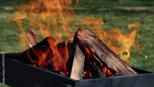 Birch logs burning in a grill on spring holiday, green grass, festive season