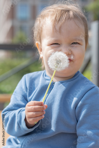 A little girl in the garden blows on a white, round, fluffy dandelion flower, making a wish