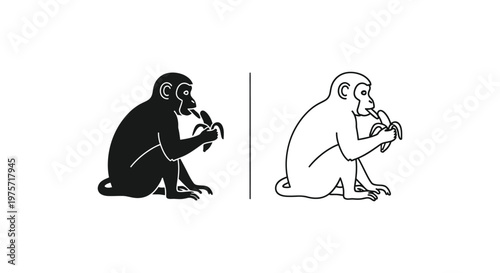 Monkey Eating Banana Behavior Comparison Guide Vector