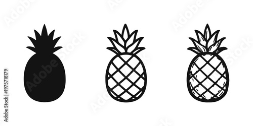 Pineapple Icon Set: Tropical Fruit in Silhouette, Outline, and Hand-Drawn Sketch Styles