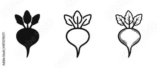 Beetroot and Radish Icon Collection - Root Vegetable Graphics in Solid, Outline, and Sketch Styles