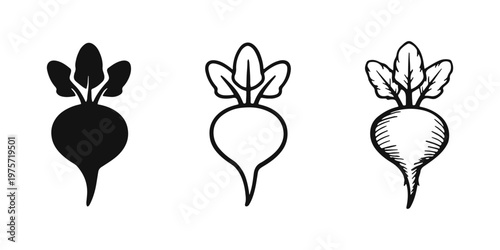 Organic Beet or Radish Icon Set - Healthy Produce Symbol in Solid, Outline, and Hand-Drawn Styles