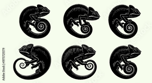 Black chameleon silhouette vector set, 6 exotic lizard icons with curled tails, tropical reptile graphic elements for logo design and branding
