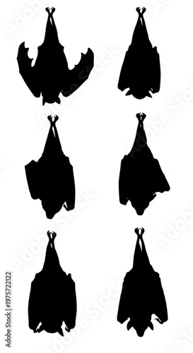 Black bat silhouettes hanging upside down, set of 6 bat vector icons, spooky flying fox animal shapes for Halloween design and nature graphics