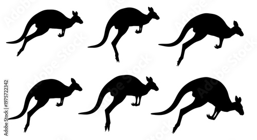Kangaroo silhouette vector set, jumping australian marsupial icons, black wallaby jumping poses, 6 kangaroo elements for wildlife design